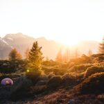 Jedyny Pan prawdziwy Bóg tekst