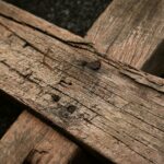 Kochać to znaczy powstawać tekst