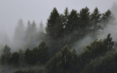 O mój Jezu w Hostii skryty tekst