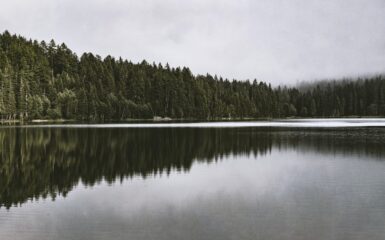 Boza radosc jak rzeka tekst