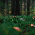 Przyjaciela Mam tekst