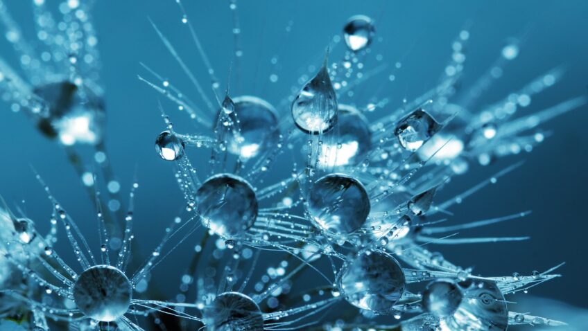 Krzyżu święty, nade wszystko tekst