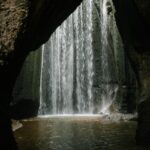 Odszedł Pasterz od nas tekst