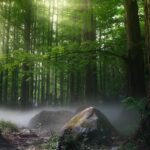 To nie gwoździe Cię przebiły tekst