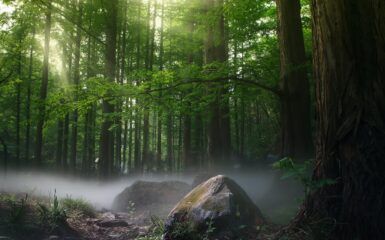 To nie gwoździe Cię przebiły tekst