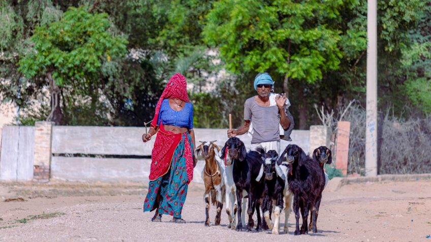 Był pastuszek bosy tekst