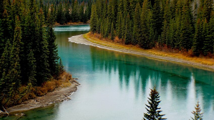 Pieśń tęsknoty tekst