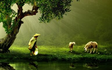 Nuż my bracia pastuszkowie tekst