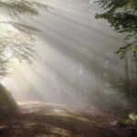 Akatyst ku czci Bogurodzicy tekst