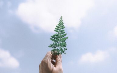 O Wszechpotężna Pani świata