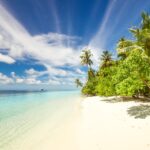 Trzeba choć jeden raz tekst