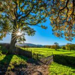 Twoja miłość tekst