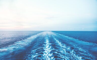 Rozkwitła róża biała tekst