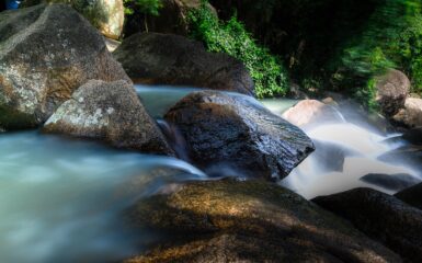 Do Królowej Różańcowej tekst