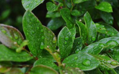 Pociągnij mnie za sobą tekst