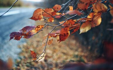 Posłuchaj Córko tekst