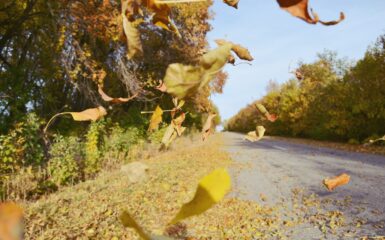 Pójdź za Mną tekst