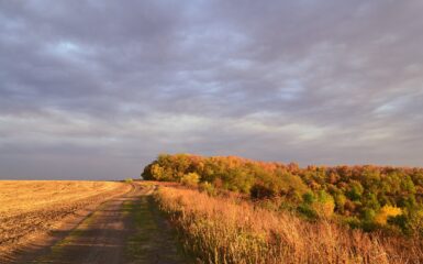 To Jezus rzekł tekst