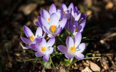 Ukochałem Cię moje dziecko tekst