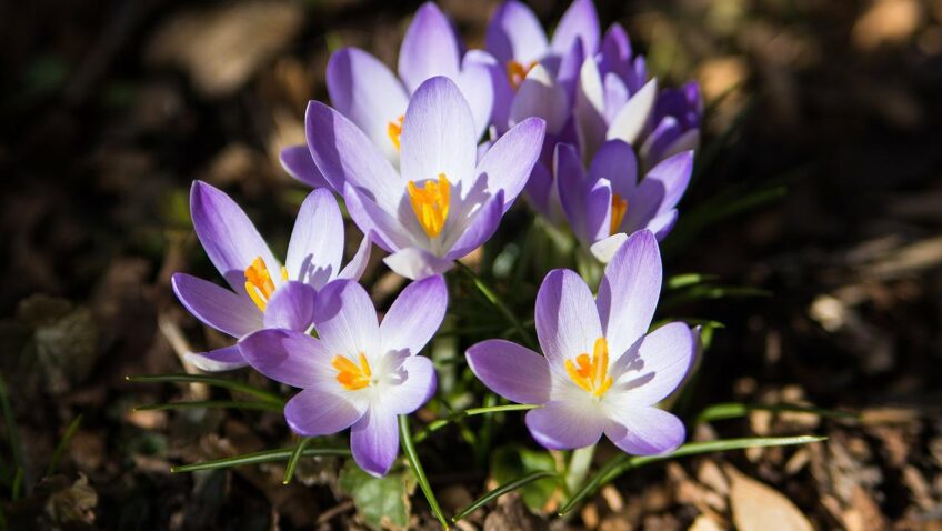 Ukochałem Cię moje dziecko tekst