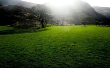 Wprowadź mnie w komnaty Twoje tekst